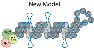 Image: Lee et al, Nucleic Acids Research (2017)